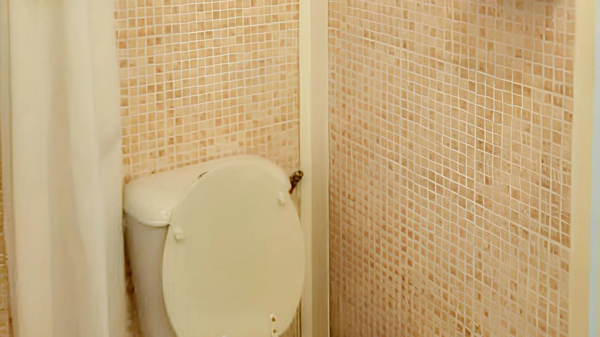Studio Charmant A Sainte Anne 30 M² Vue Jardin Terrasse גוואדלופ